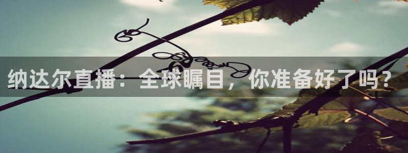壹号电子娱乐app下载：纳达尔直播：全球瞩目，你准备好了吗？