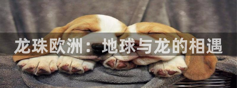 壹号pg娱乐电子游戏：龙珠欧洲：地球与龙的相遇