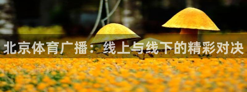 壹号娱乐链接：北京体育广播：线上与线下的精彩对决