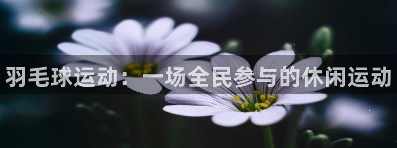 壹号娱乐网址：羽毛球运动：一场全民参与的休闲运动