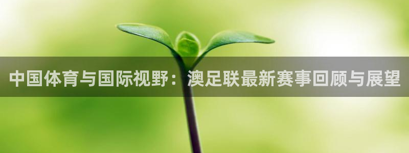 壹号娱乐下载入口：中国体育与国际视野：澳足联最新赛事回顾与展望