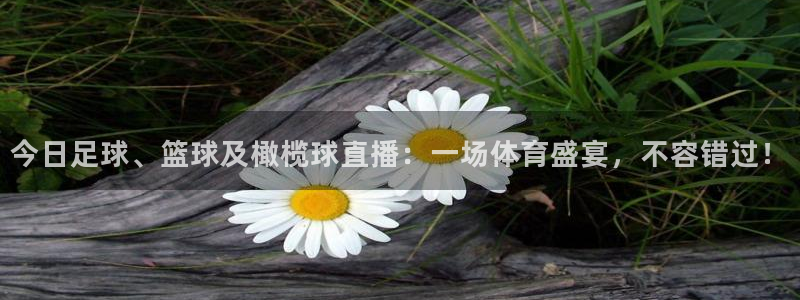 壹号pg：今日足球、篮球及橄榄球直播：一场体育盛宴，不容错过！