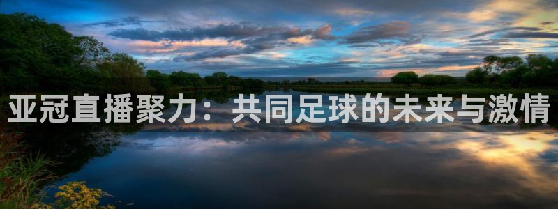 壹号娱乐官方app下载安装：亚冠直播聚力：共同足球的未来与激情