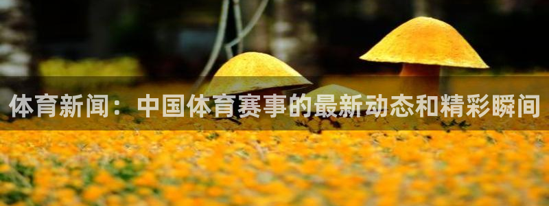 壹号pg电子娱乐：体育新闻：中国体育赛事的最新动态和精彩瞬间