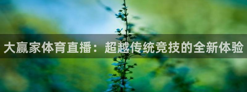 壹号电子娱乐：大赢家体育直播：超越传统竞技的全新体验