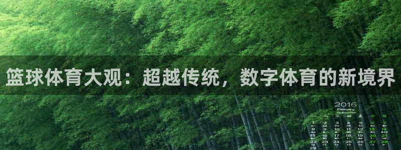 壹号娱乐app下载：篮球体育大观：超越传统，数字体育的新境界