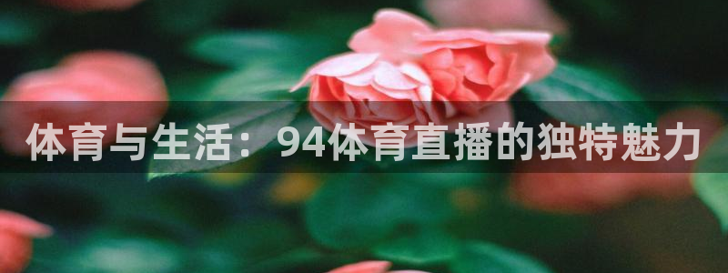 壹号娱乐.com：体育与生活：94体育直播的独特魅力